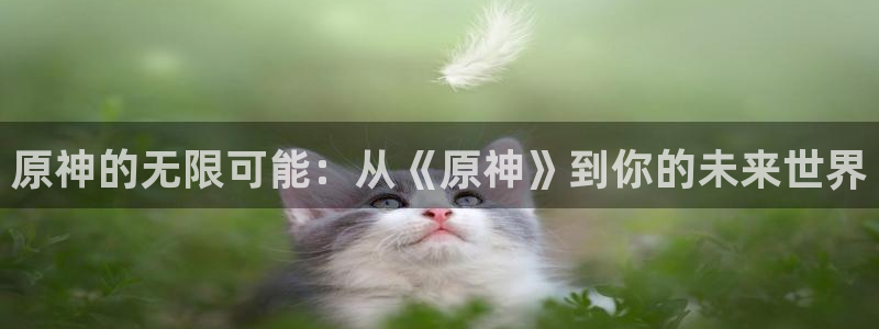 歪歪韩漫在线免费看：原神的无限可能：从《原神》到你的未来世界